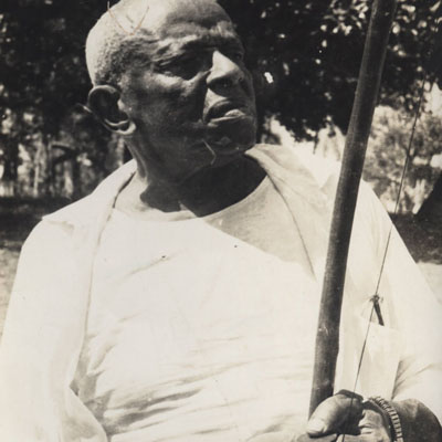 メストレビンバ